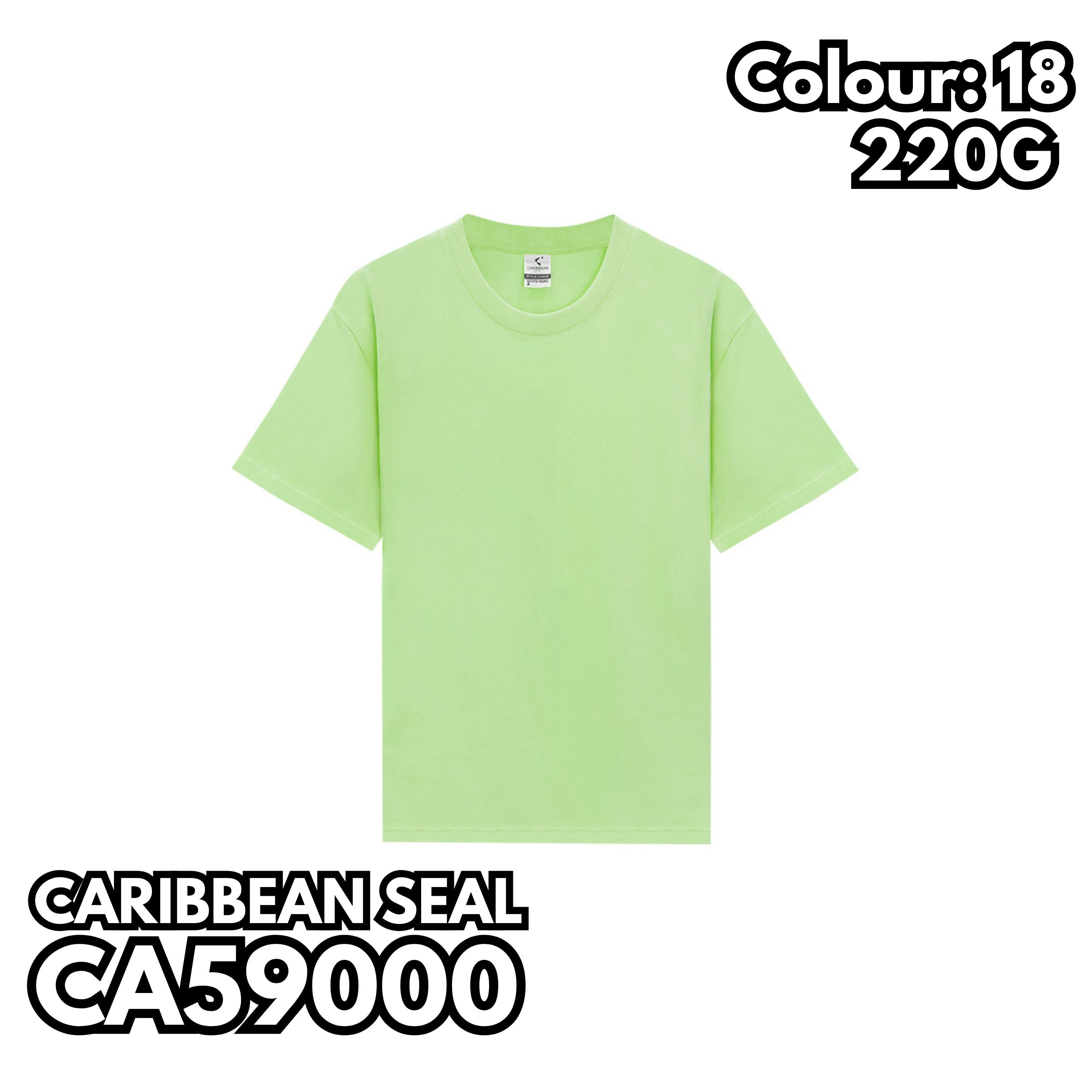 CA59000 重磅40支短袖TEE
